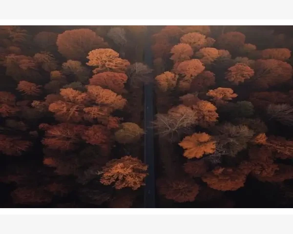 B2B发信息网站助力企业高效对接客户