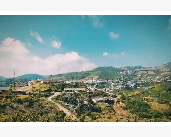拔罐除湿能减肥吗