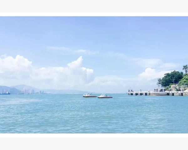 拔罐除湿：改善脾胃健康的中医秘籍